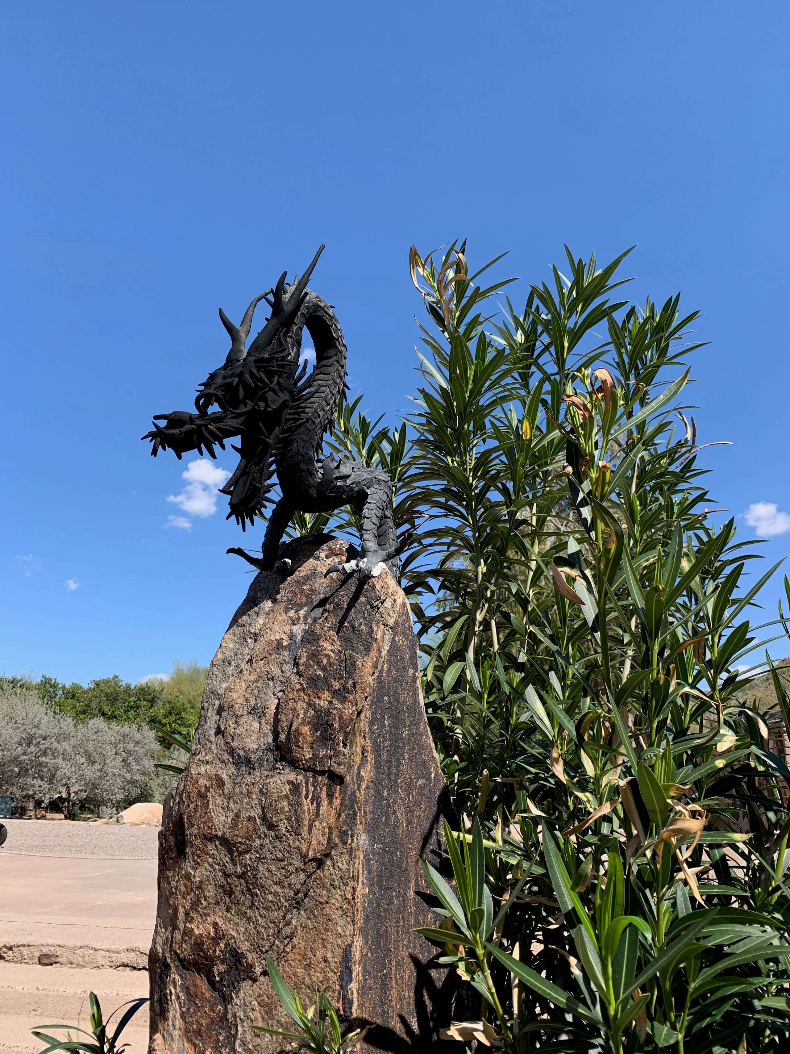 Taliesin West gallery image 7